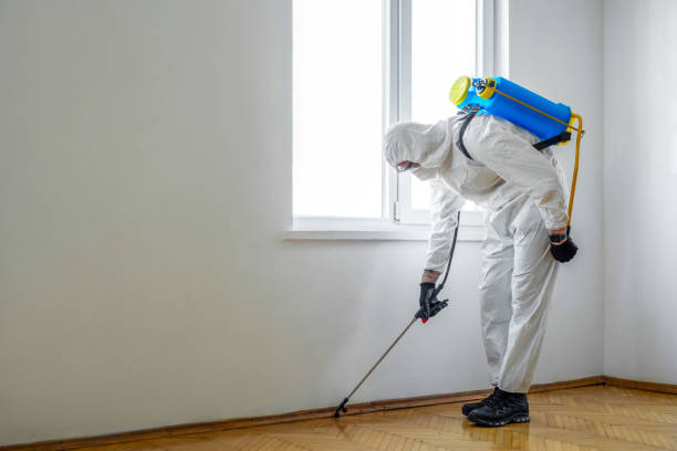 Best Emergency Pest Control  in Keyes, CA