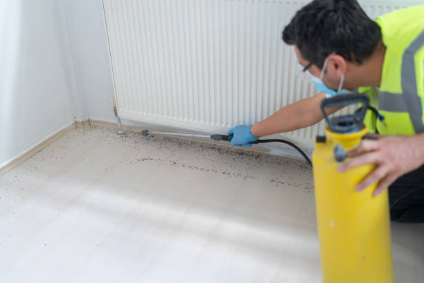 Professional Pest Control in Keyes, CA